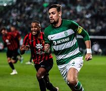 赛马娘开始摆烂免费阅读